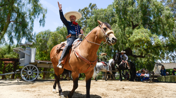 Enjoy Charro horse riding and roping demonstrations at the annual Rancho Days Fiesta.